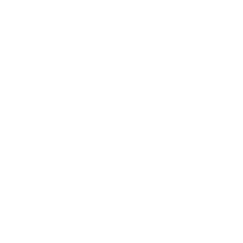 logo4